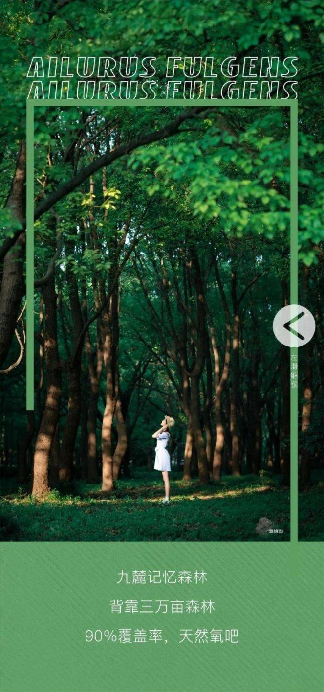 看这个牌子的红酒价格是多少？游戏画面
