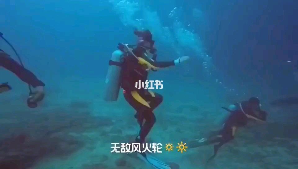 神奇小子龙之陷阱