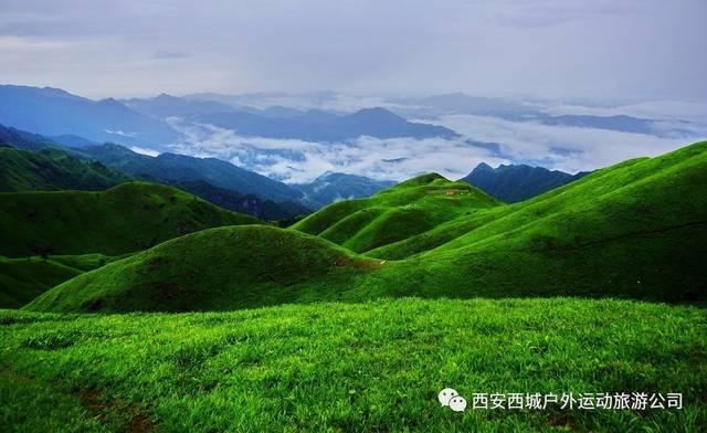 深圳刘瀚锴文化工作室揭牌暨深派教育&德一健康合作签约